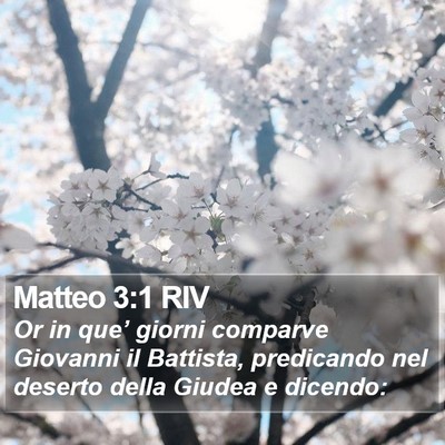 Matteo 3:1 RIV Bible Verse Image