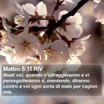 Matteo 5:11 RIV Bible Verse Image