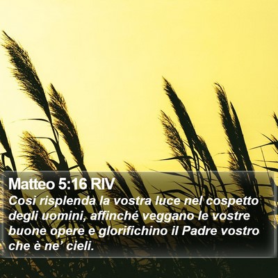 Matteo 5:16 RIV Bible Verse Image