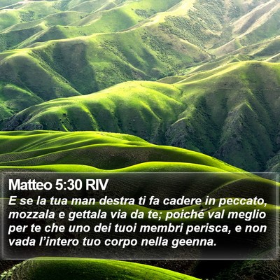 Matteo 5:30 RIV Bible Verse Image
