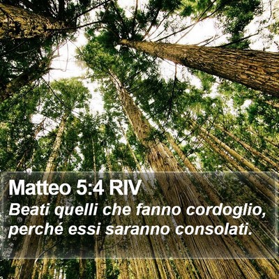 Matteo 5:4 RIV Bible Verse Image