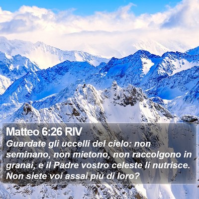 Matteo 6:26 RIV Bible Verse Image