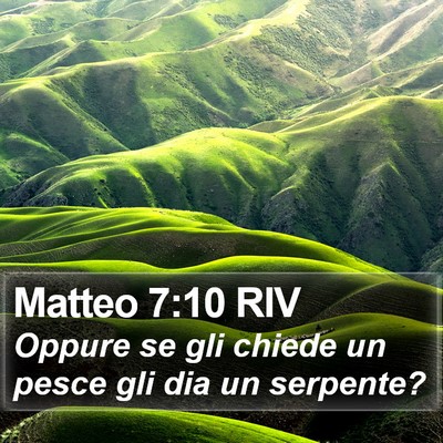 Matteo 7:10 RIV Bible Verse Image