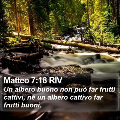Matteo 7:18 RIV Bible Verse Image