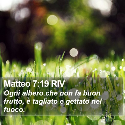 Matteo 7:19 RIV Bible Verse Image