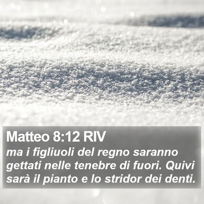 Matteo 8:12 RIV Bible Verse Image