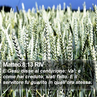 Matteo 8:13 RIV Bible Verse Image