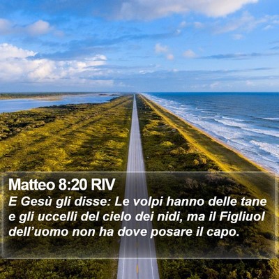 Matteo 8:20 RIV Bible Verse Image