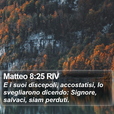 Matteo 8:25 RIV Bible Verse Image