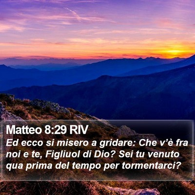Matteo 8:29 RIV Bible Verse Image