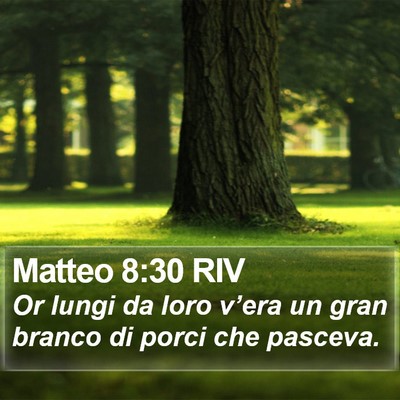 Matteo 8:30 RIV Bible Verse Image