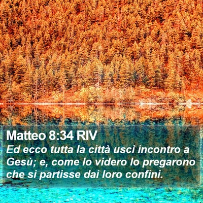 Matteo 8:34 RIV Bible Verse Image