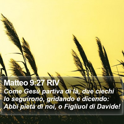 Matteo 9:27 RIV Bible Verse Image