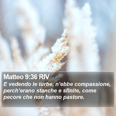 Matteo 9:36 RIV Bible Verse Image