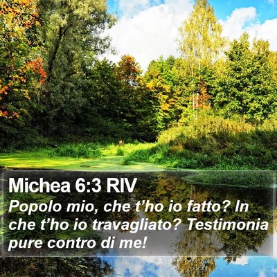 Michea 6:3 RIV Bible Verse Image