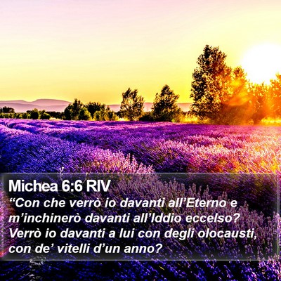 Michea 6:6 RIV Bible Verse Image