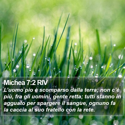 Michea 7:2 RIV Bible Verse Image