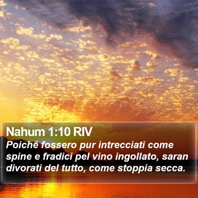 Nahum 1:10 RIV Bible Verse Image