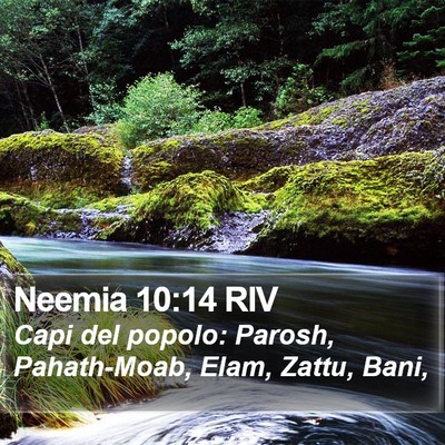 Neemia 10:14 RIV Bible Verse Image