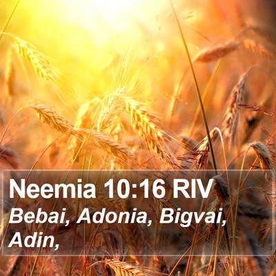 Neemia 10:16 RIV Bible Verse Image