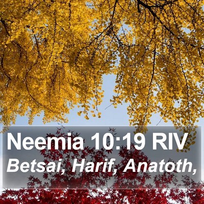 Neemia 10:19 RIV Bible Verse Image