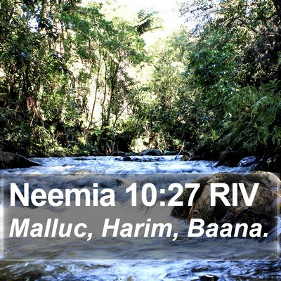 Neemia 10:27 RIV Bible Verse Image