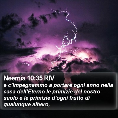 Neemia 10:35 RIV Bible Verse Image