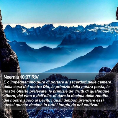 Neemia 10:37 RIV Bible Verse Image