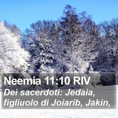 Neemia 11:10 RIV Bible Verse Image