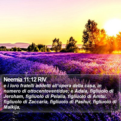 Neemia 11:12 RIV Bible Verse Image