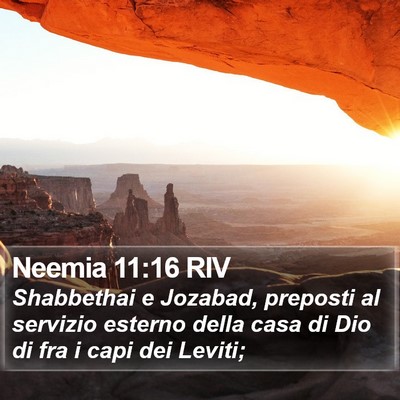 Neemia 11:16 RIV Bible Verse Image