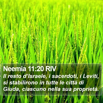 Neemia 11:20 RIV Bible Verse Image