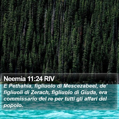 Neemia 11:24 RIV Bible Verse Image