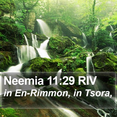 Neemia 11:29 RIV Bible Verse Image