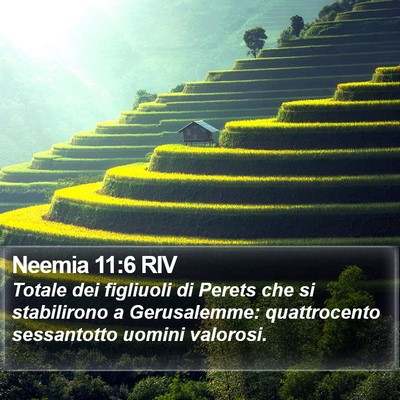 Neemia 11:6 RIV Bible Verse Image