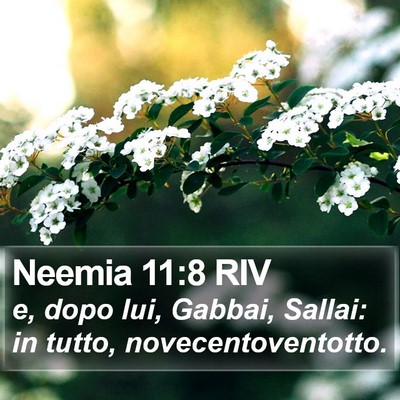 Neemia 11:8 RIV Bible Verse Image