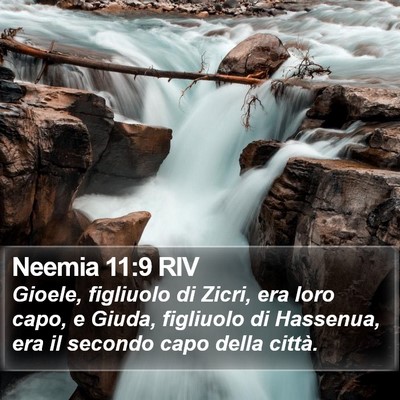 Neemia 11:9 RIV Bible Verse Image