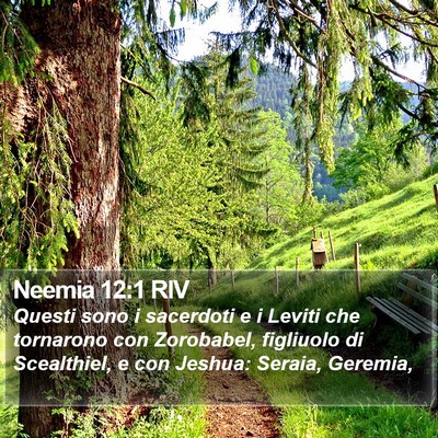 Neemia 12:1 RIV Bible Verse Image