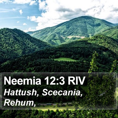Neemia 12:3 RIV Bible Verse Image