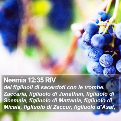 Neemia 12:35 RIV Bible Verse Image