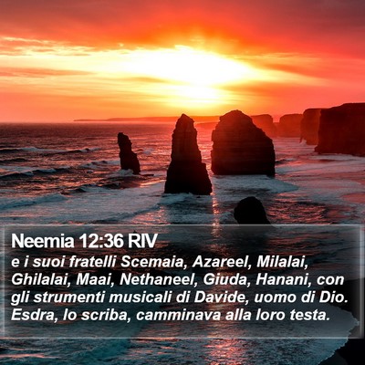 Neemia 12:36 RIV Bible Verse Image