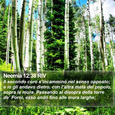 Neemia 12:38 RIV Bible Verse Image