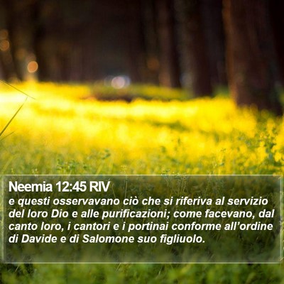 Neemia 12:45 RIV Bible Verse Image
