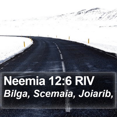 Neemia 12:6 RIV Bible Verse Image