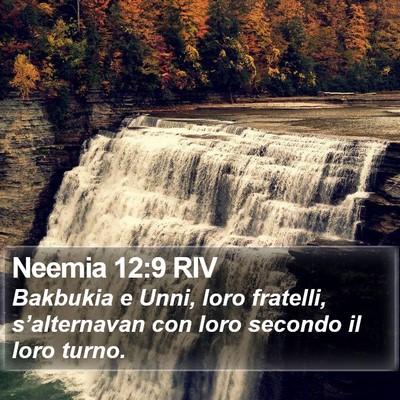 Neemia 12:9 RIV Bible Verse Image