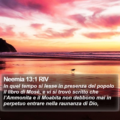 Neemia 13:1 RIV Bible Verse Image