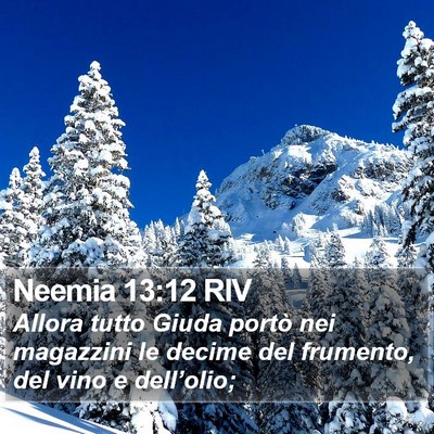 Neemia 13:12 RIV Bible Verse Image