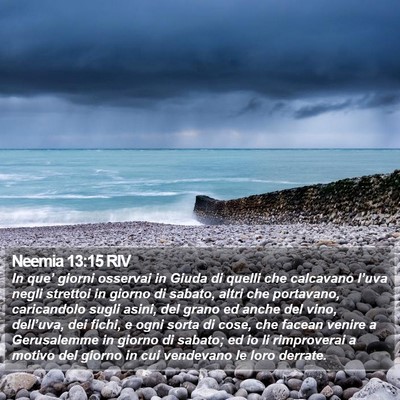 Neemia 13:15 RIV Bible Verse Image