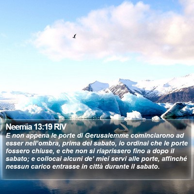 Neemia 13:19 RIV Bible Verse Image
