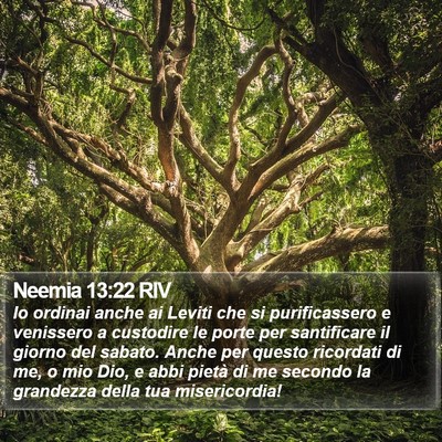 Neemia 13:22 RIV Bible Verse Image